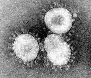 Coronavirus close up