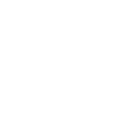 Community Foundation Accredited Seal